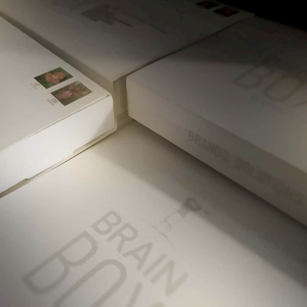 BRAINARTISTs BrainBox no. 6